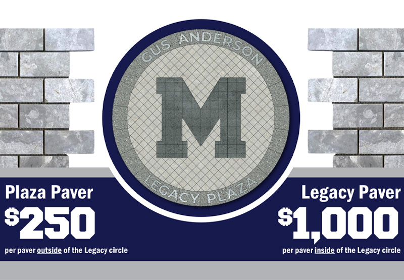 paver support